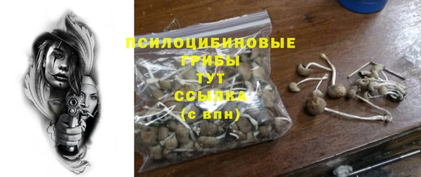ПСИЛОЦИБИНОВЫЕ ГРИБЫ Абаза