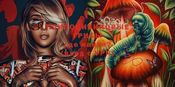 spice Абинск