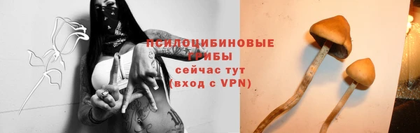 мяу мяу мука Новодвинск