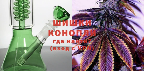 ПСИЛОЦИБИНОВЫЕ ГРИБЫ Абаза