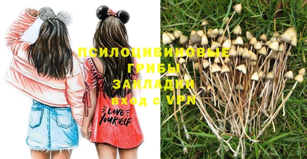 spice Абинск