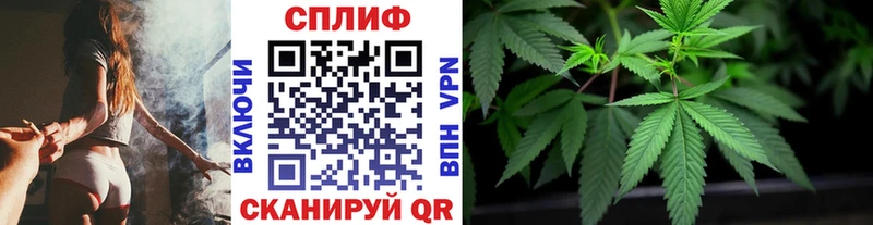 MEGA ТОР  Североморск  Бошки Шишки семена 